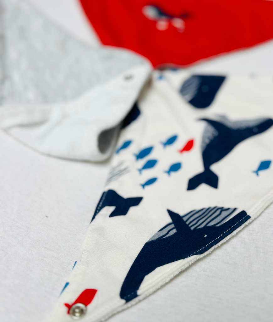 Bandana bibs gevoerd 3-pack - Carter's